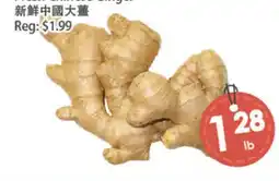 Fresh Palace Supermarket Fresh Ginger offer