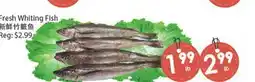 Fresh Palace Supermarket Fresh Whiting Fish offer