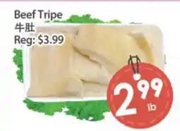 Fresh Palace Supermarket Beef Tripe offer