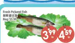 Fresh Palace Supermarket Fresh Pickerel Fish offer