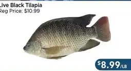 Blue Sky Supermarket Live Black Tilapia offer