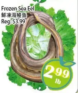 Food Depot Supermarket Frozen Sea Eel offer