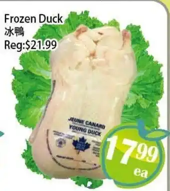 Food Depot Supermarket Frozen Duck offer