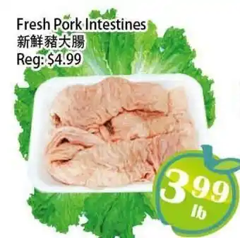 Food Depot Supermarket Fresh Pork Intestines offer