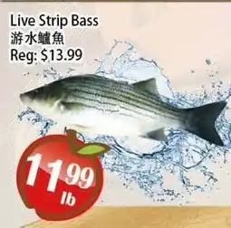 Food Depot Supermarket Live Strip Bass offer
