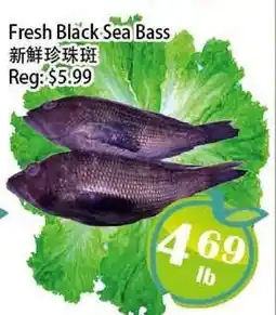 Food Depot Supermarket Fresh Black Sea Bass offer