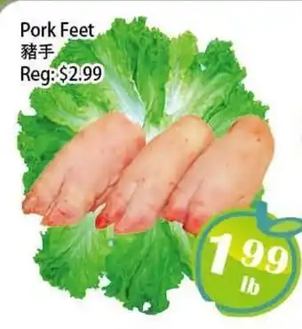 Food Depot Supermarket Pork Feet offer