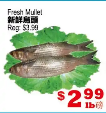 Yuan Ming Supermarket Fresh Mullet offer