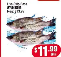 Yuan Ming Supermarket Live Strip Bass offer