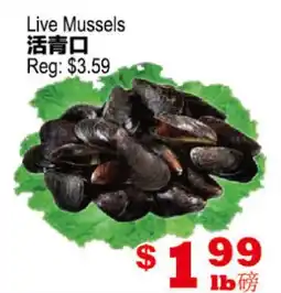 Yuan Ming Supermarket Live Mussels offer