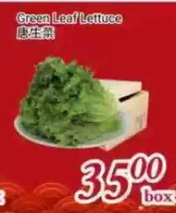 Tone Tai Supermarket Green Leaf Lettuce offer