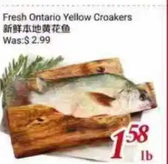 Tone Tai Supermarket Fresh Ontario Yellow Croakers offer