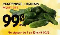Marche Salaberry CONCOMBRE LIBANAIS offer