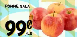 Marche Salaberry POMME GALA offer