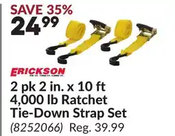Princess Auto 2 pk 2 in. x 10 ft 4,000 lb Ratchet Tie-Down Strap Set offer