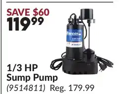 Princess Auto 1/3 HP Sump Pump offer
