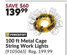 Princess Auto 100 ft Metal Cage String Work Lights offer