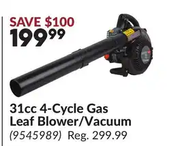 Princess Auto 31cc 4-Cycle Gas Leaf Blower/Vacuum offer
