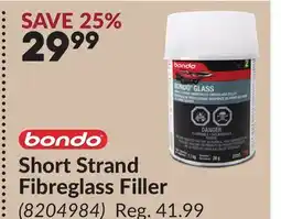 Princess Auto Short Strand Fibreglass Filler offer