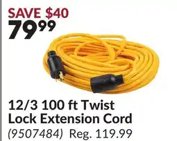 Princess Auto 12/3 100 ft Twist Lock Extension Cord offer