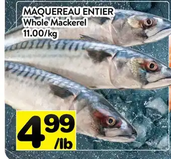 Supermarché PA MAQUEREAU ENTIER | Whole Mackerel offer