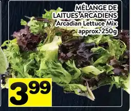 Supermarché PA MÉLANGE DE LAITUES ARCADIENS | Arcadian Lettuce Mix offer