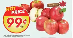 Sobeys Gala or Ambrosia Apples offer