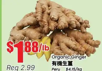 Terra Foodmart Organic Ginger offer