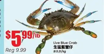 Terra Foodmart Live Blue Crab offer