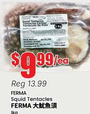 Terra Foodmart FERMA Squid Tentacles offer