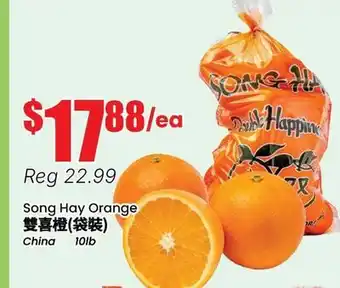 Terra Foodmart Song Hay Orange offer