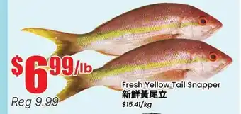 Terra Foodmart Fresh Yellow Tail Snapper offer