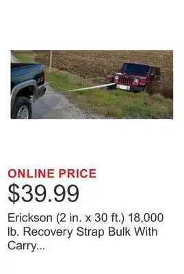 Costco Erickson (2 in. x 30 ft.) 18,000 lb. Recovery Strap Bulk With Carry Bag offer