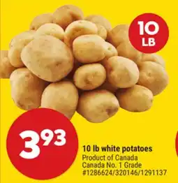 Giant Tiger 10 lb white potatoes offer