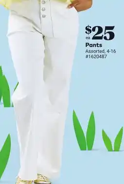 Giant Tiger Pants offer