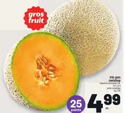Metro TRÈS GROS CANTALOUP | JUMBO CANTALOUPE offer