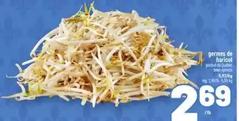 Metro GERMES DE HARICOT | BEAN SPROUTS offer
