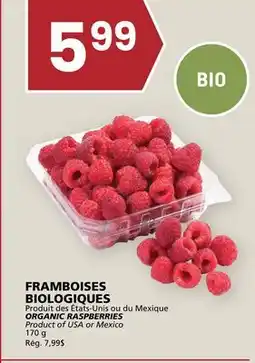Rachelle-Bery Grocery ORGANIC RASPBERRIES offer