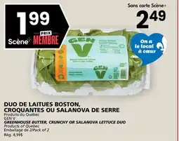 Rachelle-Bery Grocery GEN V GREENHOUSE BUTTER, CRUNCHY OR SALANOVA LETTUCE DUO offer