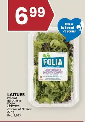 Rachelle-Bery Grocery FOLIA LETTUCE offer