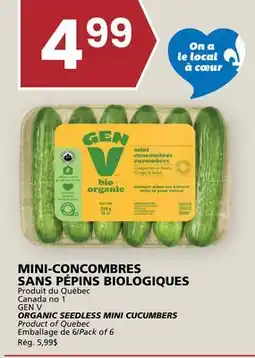 Rachelle-Bery Grocery GEN V ORGANIC SEEDLESS MINI CUCUMBERS offer