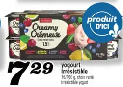 Marché Richelieu YOGOURT IRRÉSISTIBLE | IRRÉSISTIBLE YOGURT offer