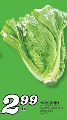 Marché Richelieu LAITUE ROMAINE | ROMAINE LETTUCE offer