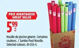 Canadian Tire Jumbo Pool Noodle offer