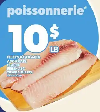 Provigo FILETS DE TILAPIA ASC FRAIS | FRESH ASC TILAPIA FILLETS offer