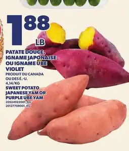 Provigo PATATE DOUCE, IGNAME JAPONAISE OU IGNAME UBE VIOLET | SWEET POTATO JAPANESE YAM OR PURPLE UBE YAM offer