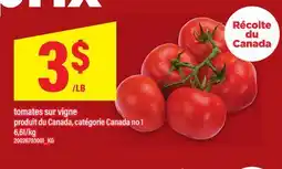Maxi TOMATES SUR VIGNE offer