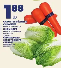 Provigo CAROTTES GÉANTES CHINOISES OU CHOU NAPA | CHINESE JUMBO CARROT OR NAPA CABBAGE offer
