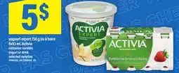 Maxi YOGOURT EXPERT, 750 G OU À BOIRE 8X93 ML, ACTIVIA | YOGURT OR DRINK offer