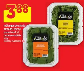 Maxi MÉLANGES DE SALADE ATTITUDE FRAÎCHE offer